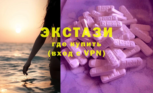 ECSTASY Богородицк